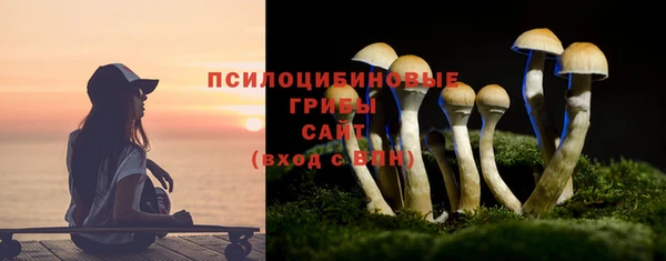 таблы Покачи