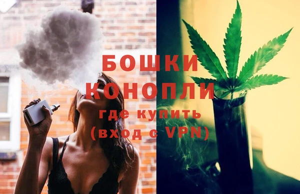 ГАЛЛЮЦИНОГЕННЫЕ ГРИБЫ Пересвет