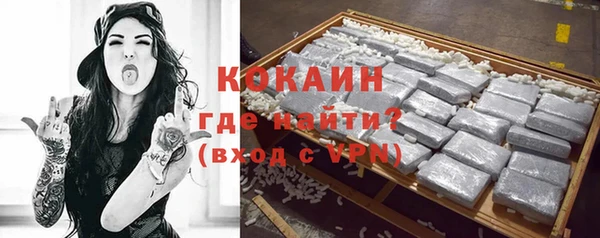 ГАЛЛЮЦИНОГЕННЫЕ ГРИБЫ Пересвет