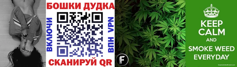 Марихуана планчик  наркота  Андреаполь 