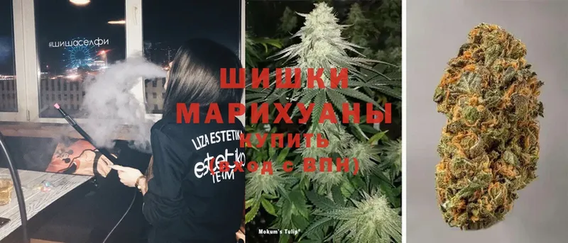 Бошки Шишки LSD WEED  omg маркетплейс  Андреаполь 